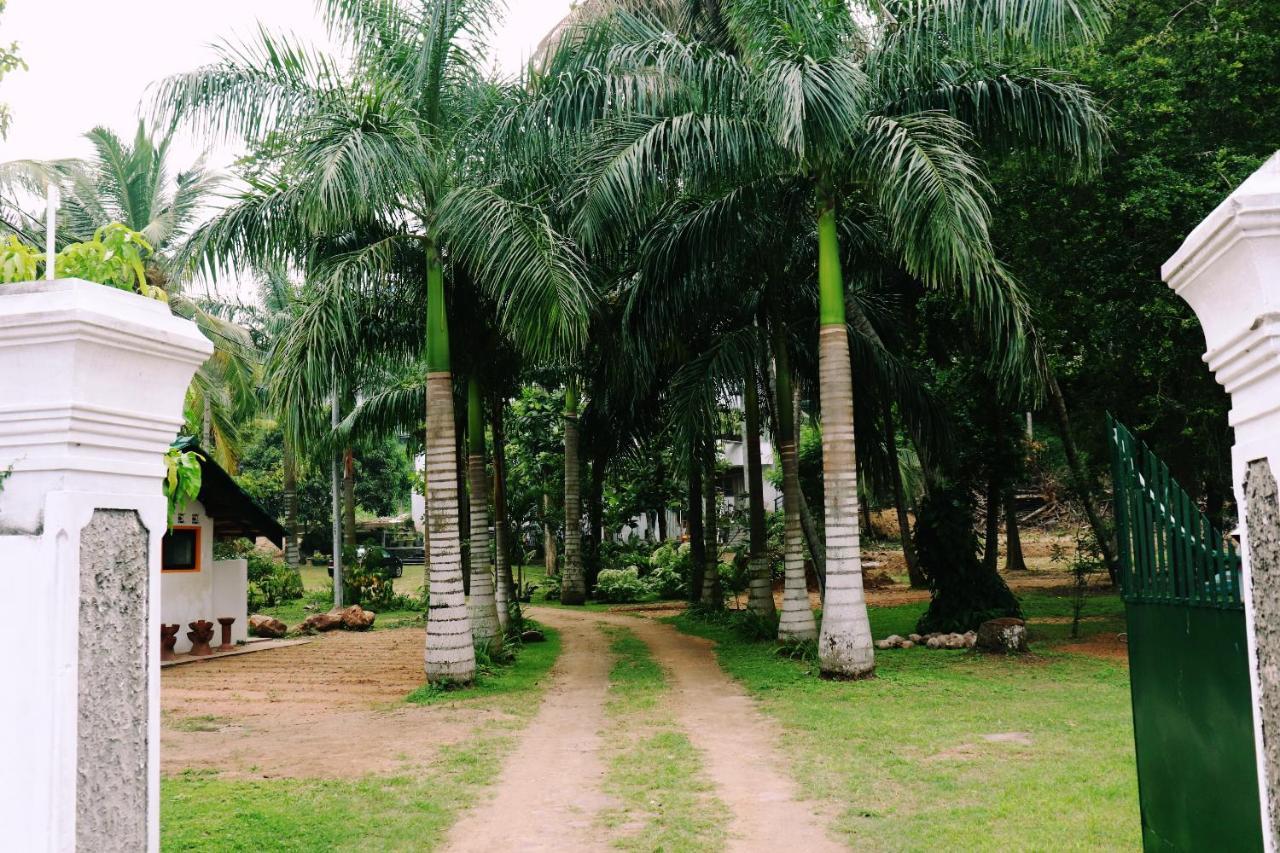 Sea Avenue - Eco Garden Hotel Tangalle Exterior photo